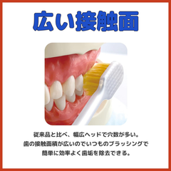 EBiSU Premium Care Japanese toothbrush with regular head and large contact surface for efficient plaque removal