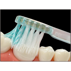 Close-up of EBiSU Zero Premium Care Rich Ultra Compact toothbrush with medium bristles cleaning along the gum line