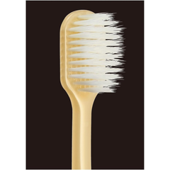 Close-up of EBiSU KIWAMI Premium Care #61 #62 Japanese toothbrush showing ultra-dense bristles for deep cleaning