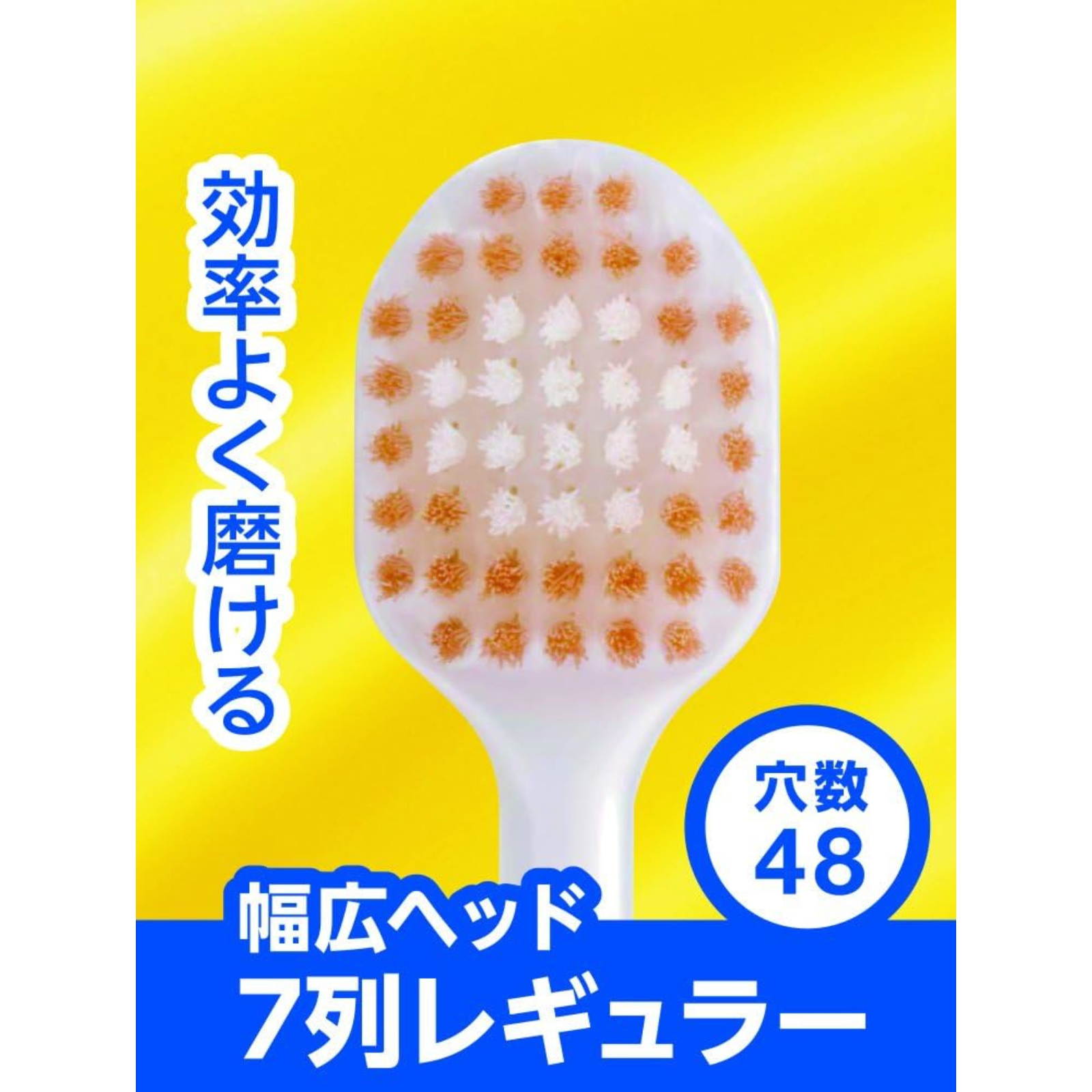 Close-up of EBiSU PREMIUM CARE #81 Japanese toothbrush with 48-tuft ultra-dense soft bristles, 7-row regular wider head design, made in Japan