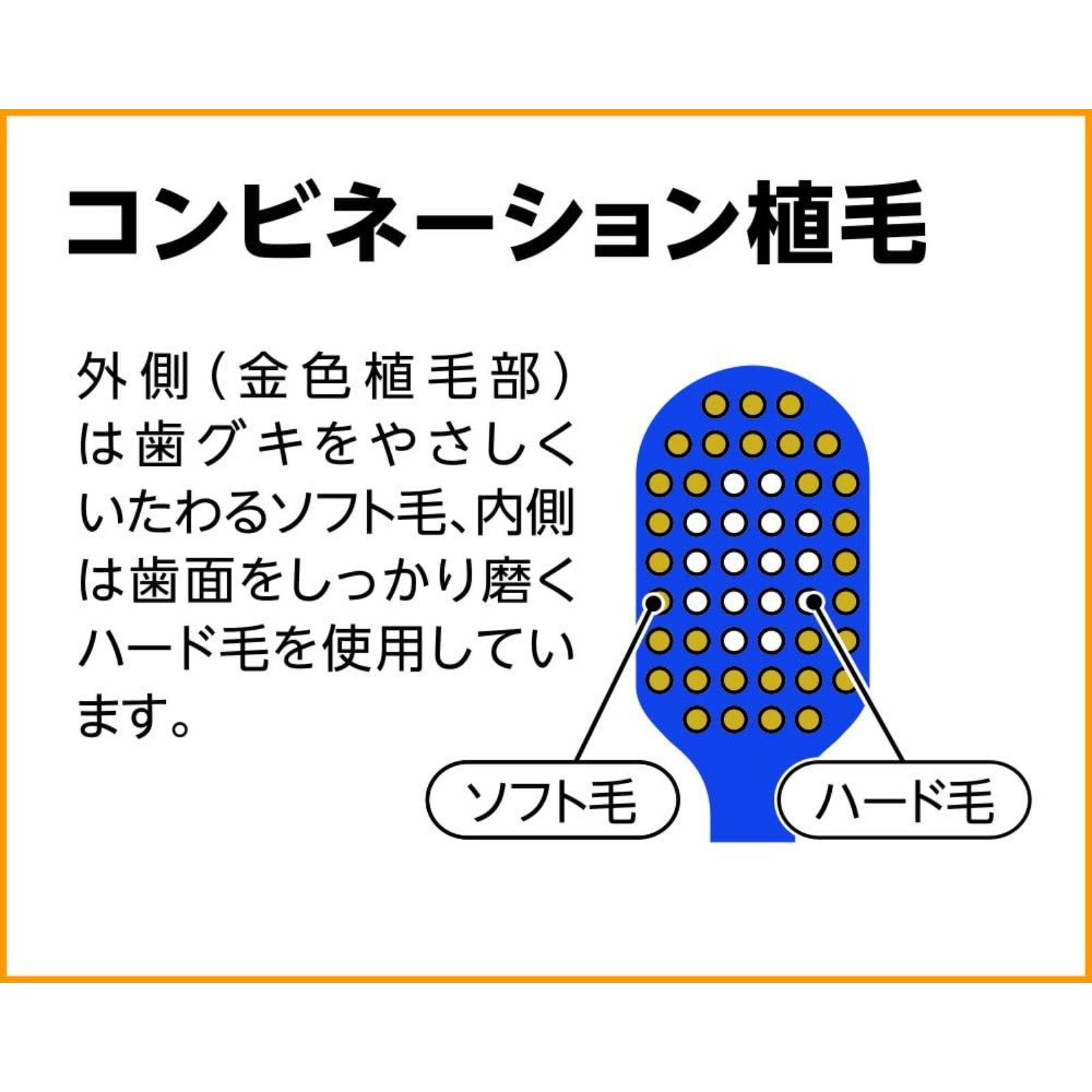 Diagram showing EBiSU Premium Care combination bristles with soft outer bristles for gums and firmer inner bristles for effective tooth surface cleaning