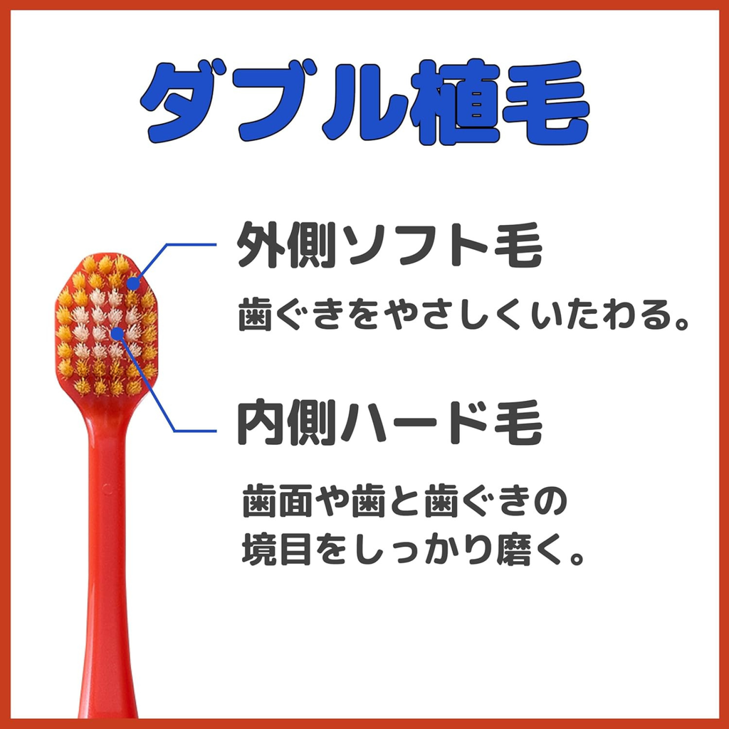 Double bristle Japanese toothbrush with soft outer bristles for gentle gum contact and firmer inner bristles for thorough plaque removal