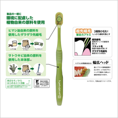 EBiSU PREMIUM CARE ECO #62 Japanese toothbrush showing regular head design, medium bristles, triple bristle structure and plant-based eco materials, Made in Japan