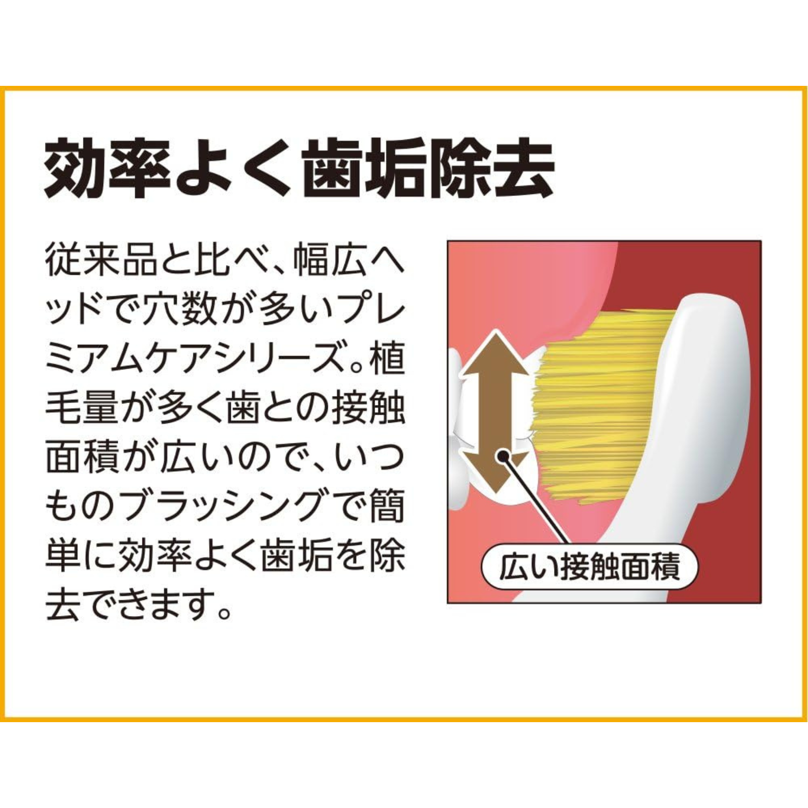 Diagram showing how EBiSU PREMIUM CARE toothbrush removes plaque efficiently through wider bristle contact area