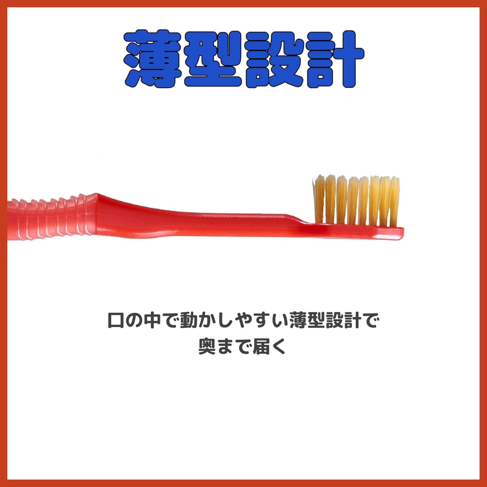 EBiSU Premium Care Japanese toothbrush with regular head and slim profile design for easy reach inside the mouth