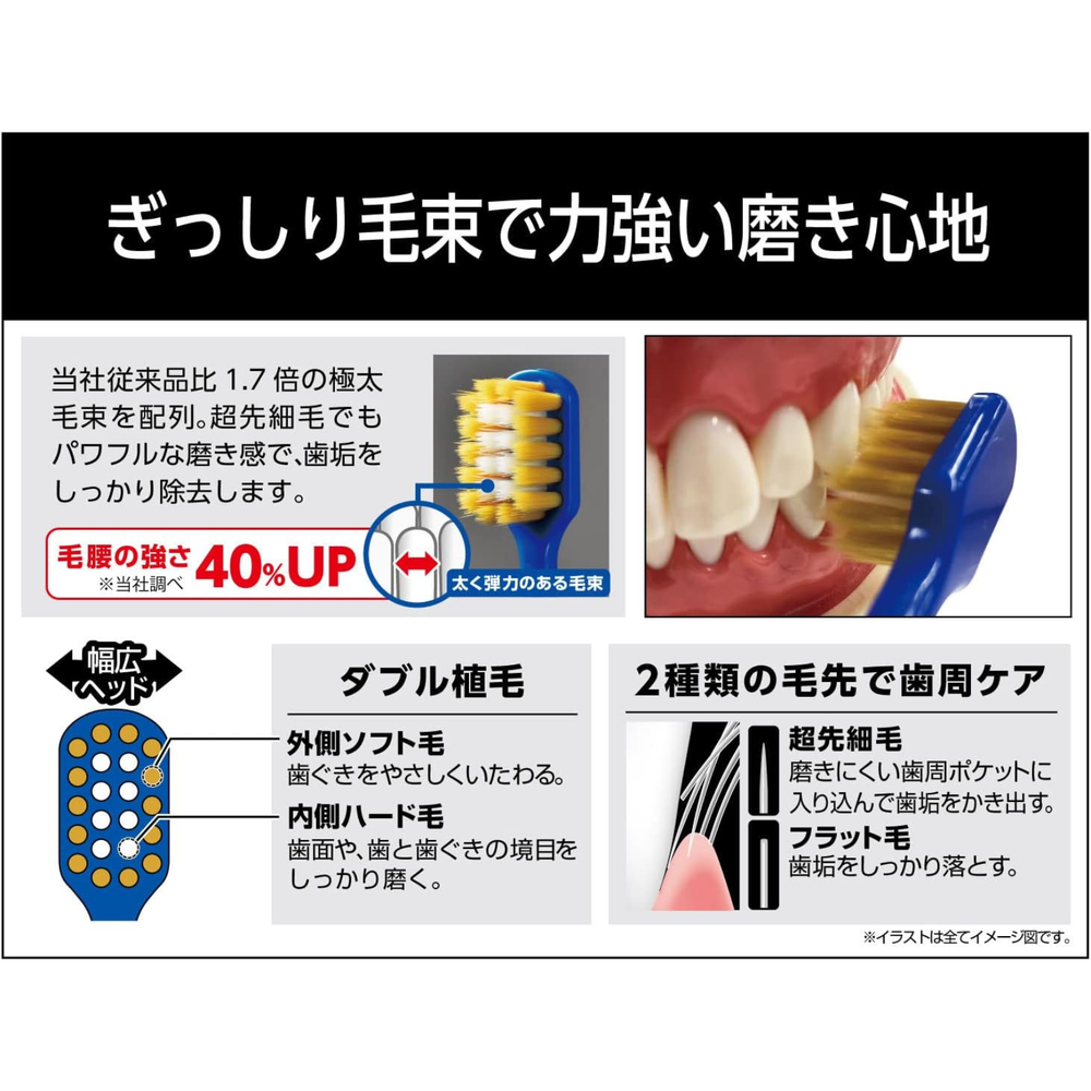 EBiSU Premium Care Select Japanese toothbrush showing wide head design with dense bristle bundles for strong polishing and plaque removal
