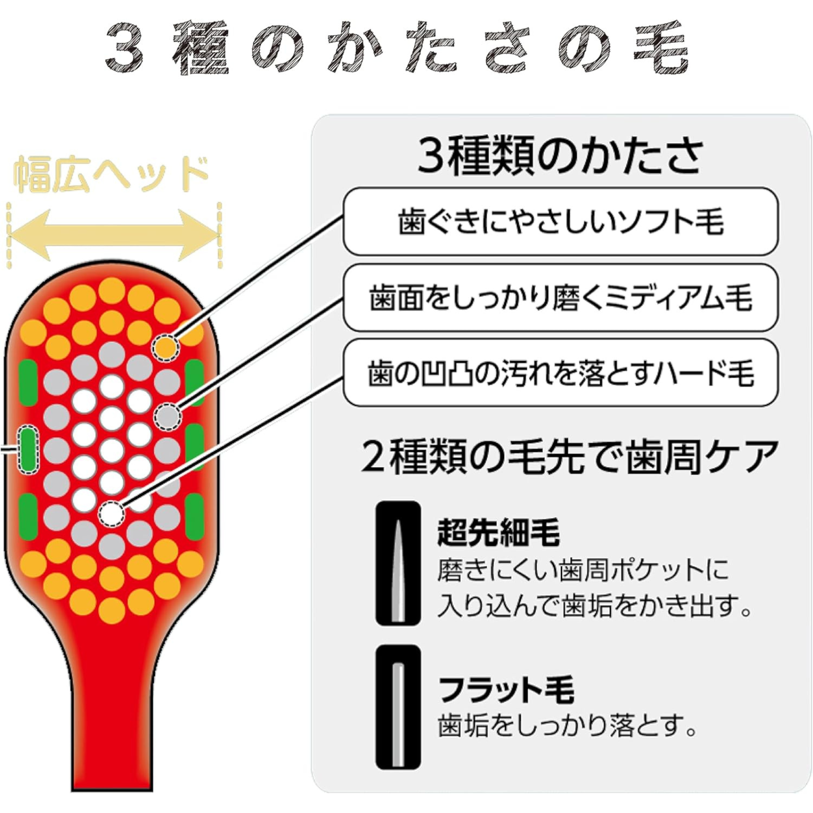 Illustration of EBiSU THE PREMIUM CARE SELECT toothbrush showing triple bristle hardness and dual-tip design for effective gum care and plaque removal, Made in Japan and available in the UK
