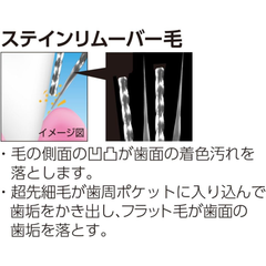 EBiSU Premium Care Select W52 W62 stain remover bristles showing ultra-fine tapered bristles and flat bristles designed to remove surface stains and plaque
