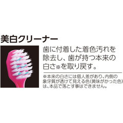 EBiSU PREMIUM CARE SELECT W52 W62 Japanese toothbrush whitening cleaner bristles designed to remove surface stains and restore natural tooth whiteness