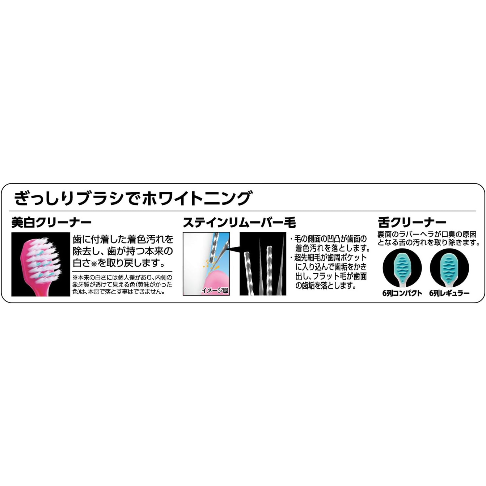 Overview of EBiSU Premium Care Select W52 W62 toothbrush showing whitening bristles, stain remover bristles, and tongue cleaner for removing surface stains and tongue coating
