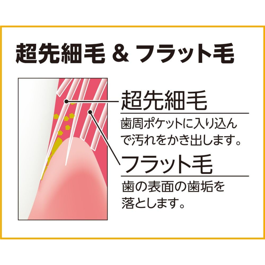 Diagram illustrating EBiSU Premium Care toothbrush with ultra-fine bristles reaching gum pockets and flat bristles cleaning plaque from tooth surfaces