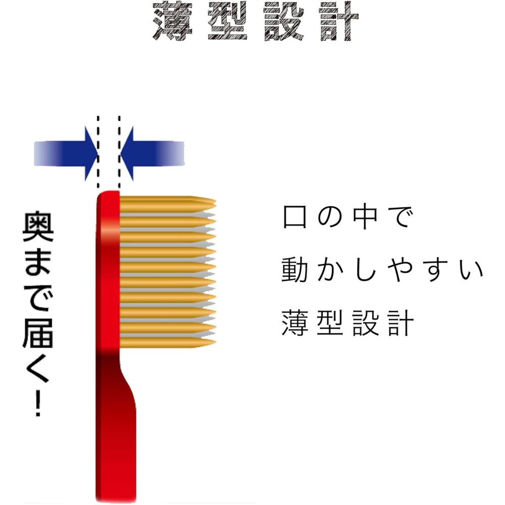 EBiSU THE PREMIUM CARE 8-Row Regular Toothbrush｜Slim Head Design Illustration showing Thin Brush Head for Easy Movement Inside the Mouth and Deep Reach Cleaning｜Japanese Toothbrush Made in Japan｜Now available in the UK