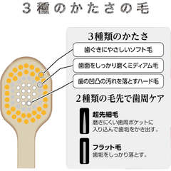 EBiSU THE PREMIUM CARE 8-Row Regular Toothbrush｜Diagram showing Triple Hardness Bristle Structure with Soft, Medium and Hard Layers, plus Dual-Tip Design for Gum and Tooth Cleaning｜Japanese Toothbrush Made in Japan｜Now available in the UK