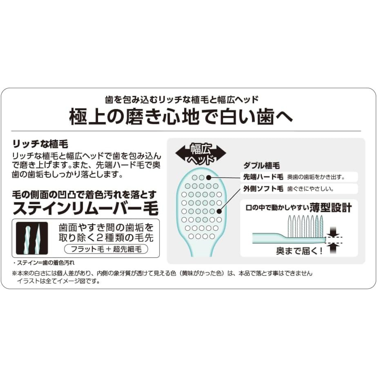 Diagram showing bristle structure and thin head design of EBiSU ZERO PREMIUM CARE Japanese toothbrush