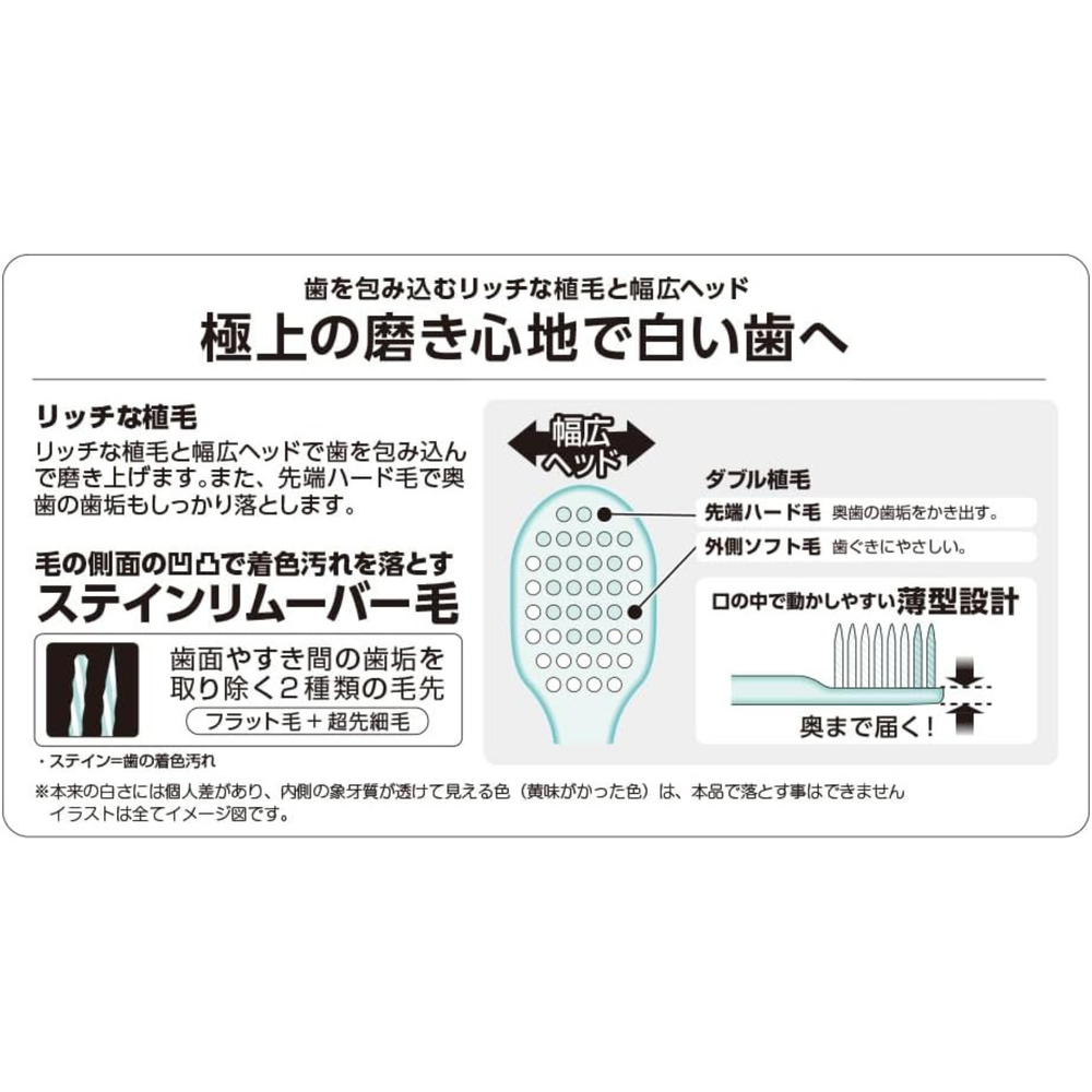 Diagram showing bristle structure and thin head design of EBiSU ZERO PREMIUM CARE Japanese toothbrush
