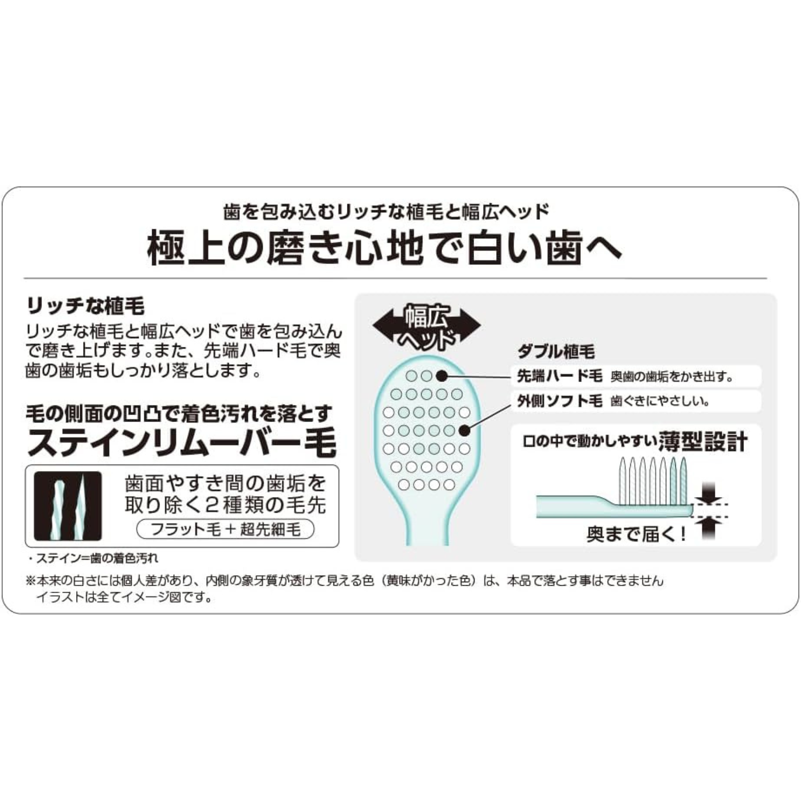 Diagram showing bristle structure and wide head design of EBiSU ZERO PREMIUM CARE Rich Compact toothbrush