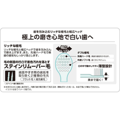 Bristle structure and stain remover design of EBiSU Zero Premium Care Rich Ultra Compact toothbrush with medium bristles