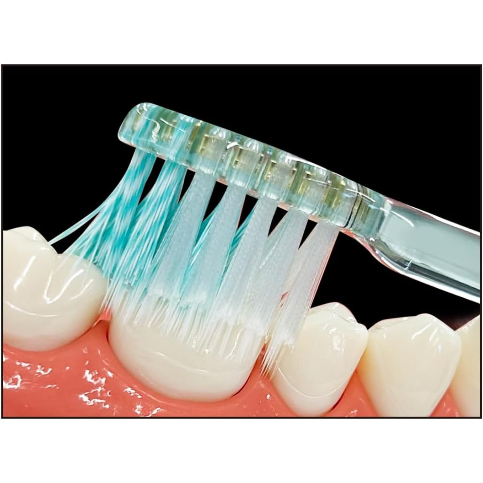 Illustration showing EBiSU ZERO PREMIUM CARE toothbrush bristles cleaning along the gum line and tooth surface