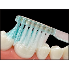Close-up of EBiSU ZERO PREMIUM CARE Japanese toothbrush bristles gently cleaning teeth