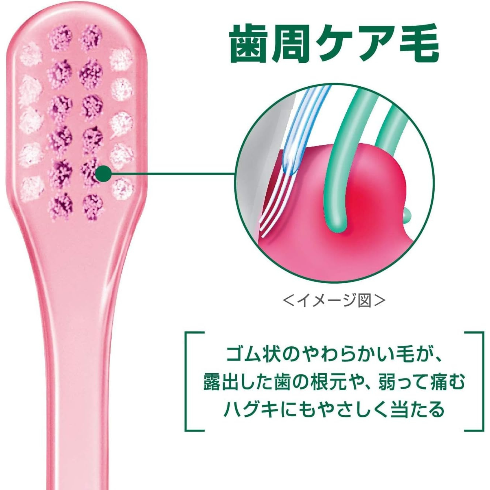 GUM Care periodontal soft bristles designed to gently clean along the gum line and sensitive areas
