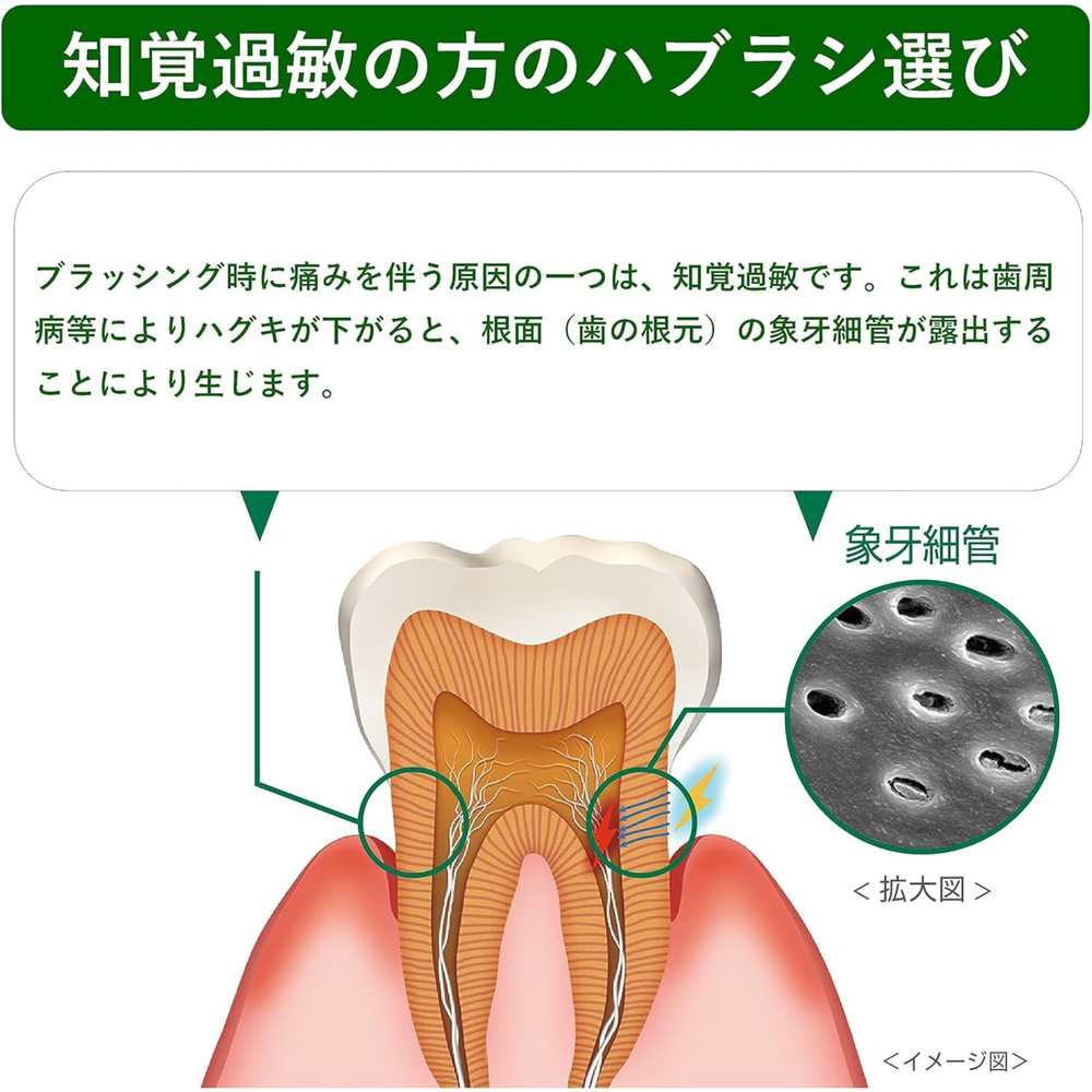 GUM Care diagram showing tooth sensitivity caused by gum recession and exposed dentin tubules