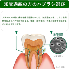 GUM Care diagram showing tooth sensitivity caused by gum recession and exposed dentin tubules