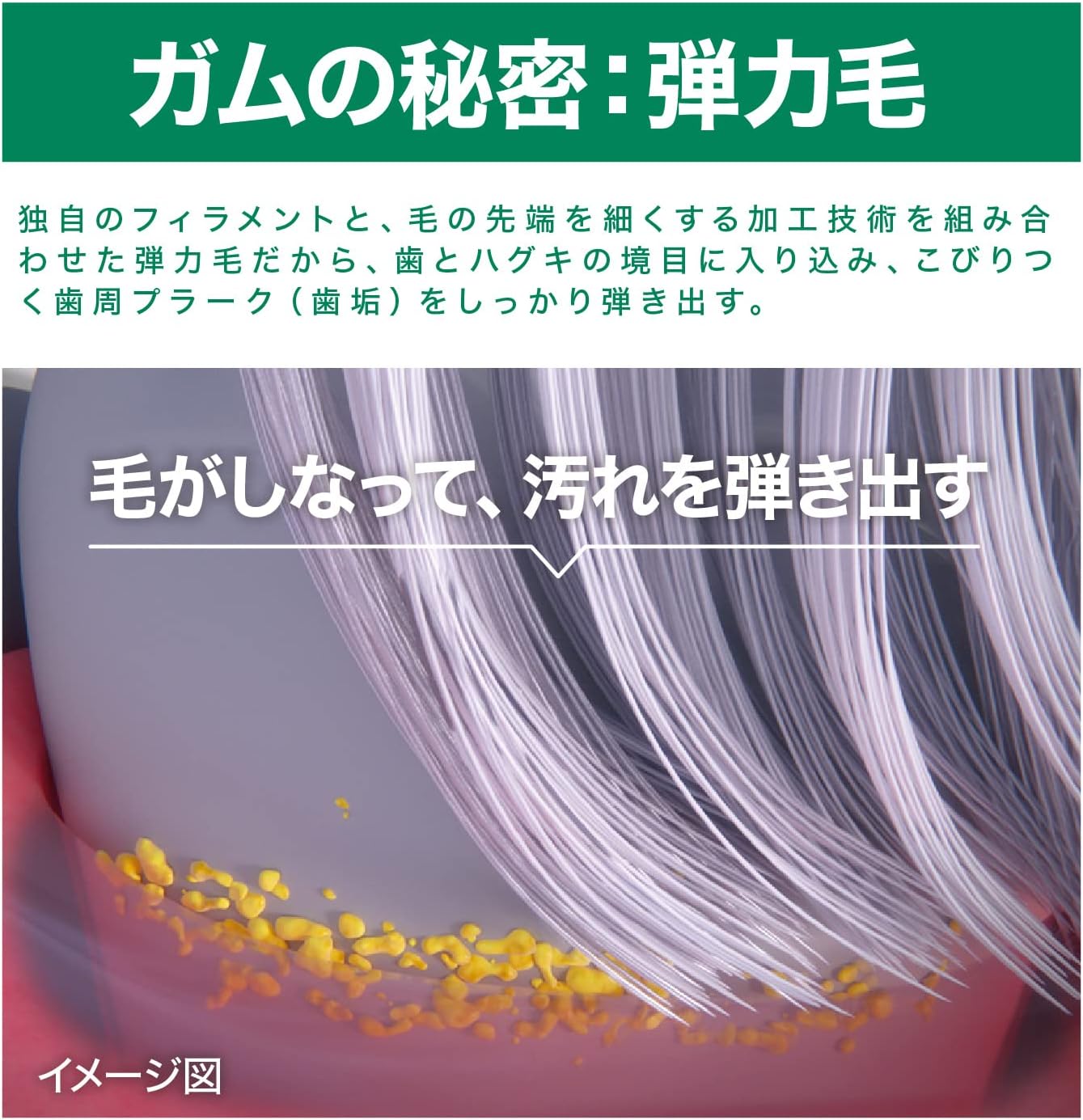 GUM Plus elastic ultra-fine bristles flexing at the gumline to remove plaque gently, Japanese toothbrush gum care design