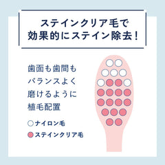 Ora2 me Stain Clear Japanese toothbrush bristle design showing stain clear bristles and nylon bristles for stain removal